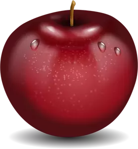 Fotogerçekçi kırmızı ıslak elma çizim vektör
