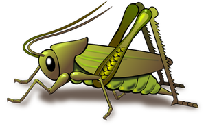 Grüne cricket