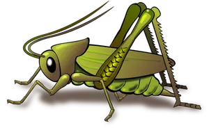 Groene cricket