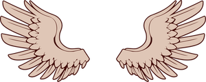 Vector afbeelding van vogel vleugels