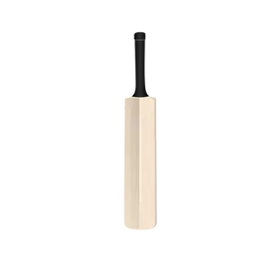 Cricket bat vektor image