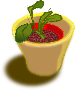 Vector image of plant in two pots