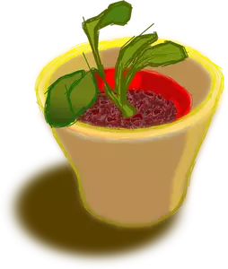 Imagem vetorial de planta em dois potes