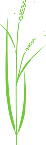 Vectorul miniaturi de orez simplu plante