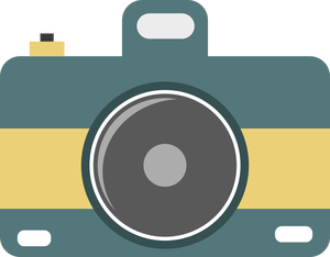 Flat camera icon vector image