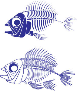 Grafică de schelet vectorială peşte