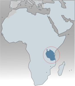 Tanzania en círculo en mapa del vector de la imagen de África