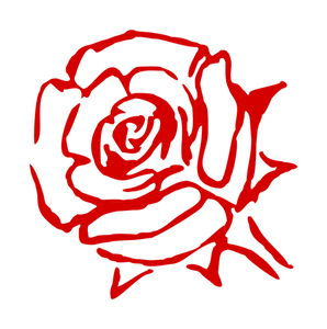 Rose sketch