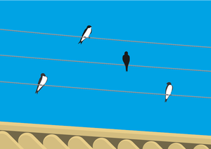 Birds standing on wires vector clip art