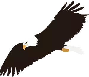 Hochfliegende Adler