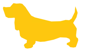 Keltainen koirakuva