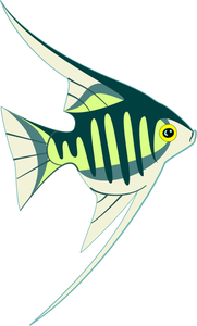 Tropical fish image
