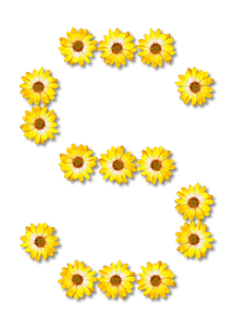 700+ Gambar Bunga Matahari Animasi Hitam Putih Terbaik ...
