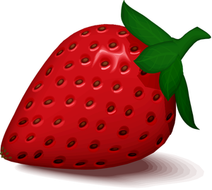Strawberry vector image