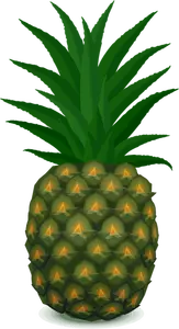 Obraz wektor zielony ananas