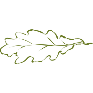 Oak leaf drawing clip art