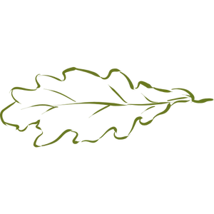 Arte do clipe de desenho de folha de carvalho