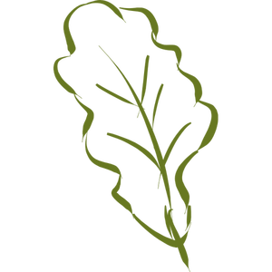 Oak leaf silhouette sketch