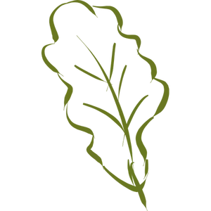 Esboço de silhueta de folha de carvalho