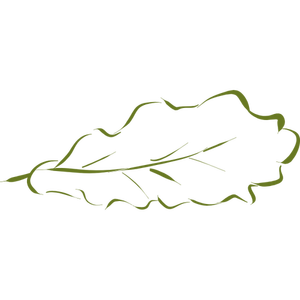 Oak leaf silhouette hand drawing