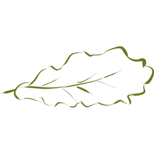 Desenho manual da silhueta da folha de carvalho