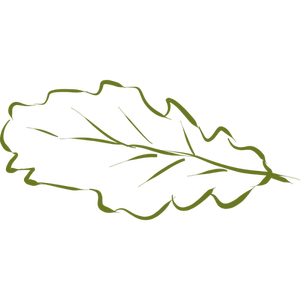 Arte de clipe desenhado à mão por folha de carvalho
