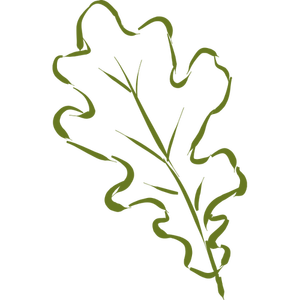 Oak leaf vector drawing