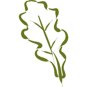 Silhueta de contorno de folha de carvalho