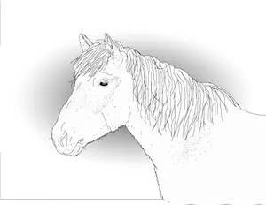 Vector tekening van een paard