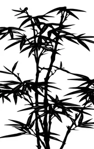 Bambus strom vektorové grafiky