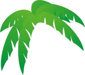 Palm's tree leaves vector illustration