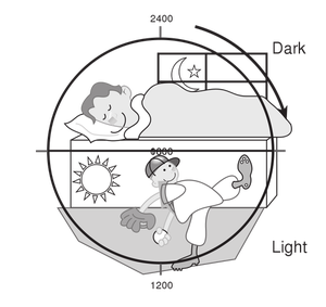 Vektorové ilustrace 24 hodin světlo/tma cyklu