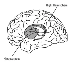 Gehirn-Vektor-illustration