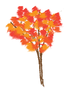 Javorový strom v podzimní vektorové ilustrace