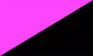 Imagem vetorial de bandeira anarco-queer
