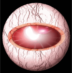 Human eye from inside vector image