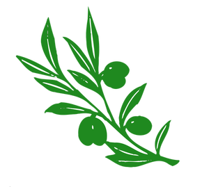 Olive tree branch vector image