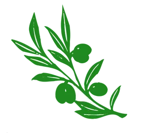 Olive branch vektor bilde