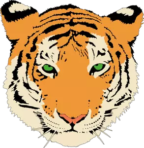 Clipart vectorial de cabeza de tigre joven