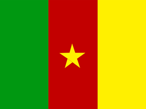 Kamerun bayrağı çizim vektör