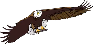 Bald eagle vector graphics