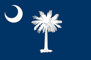Bandiera vettoriale della Carolina del sud