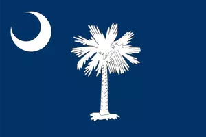 Vector bandeira da Carolina do Sul