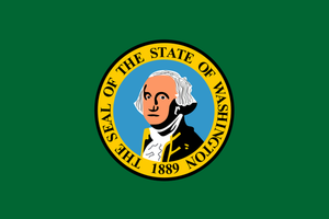 Vettore di disegno della bandiera dello stato di Washington