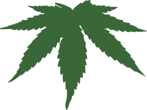 Imagem de vetor de cor de folha de cannabis