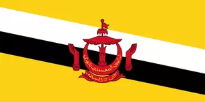 Vlag van Brunei Darussalam vector afbeelding