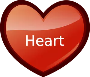 Vector illustration of red heart