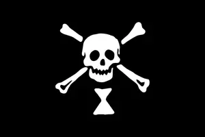 Bandiera pirata teschio e ossa immagine vettoriale