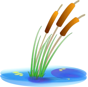 Ilustración vectorial de reed