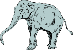 Vector illustratie van blauwe jonge olifant